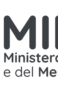 Ministero dell'Istruzione e del Merito